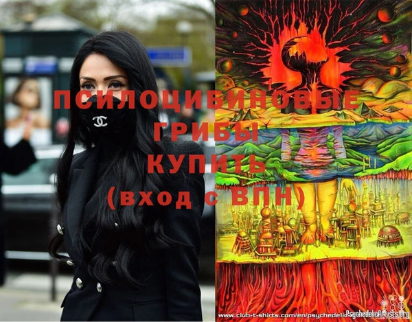a pvp Козловка