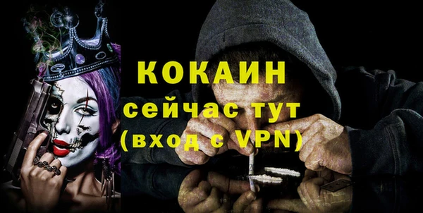 PSILOCYBIN Киренск