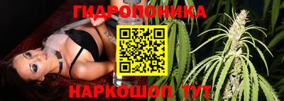 каннабис Кимры
